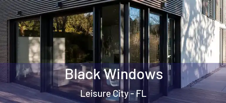  Black Windows Leisure City - FL
