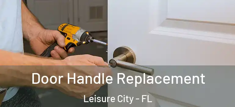  Door Handle Replacement Leisure City - FL