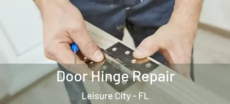  Door Hinge Repair Leisure City - FL