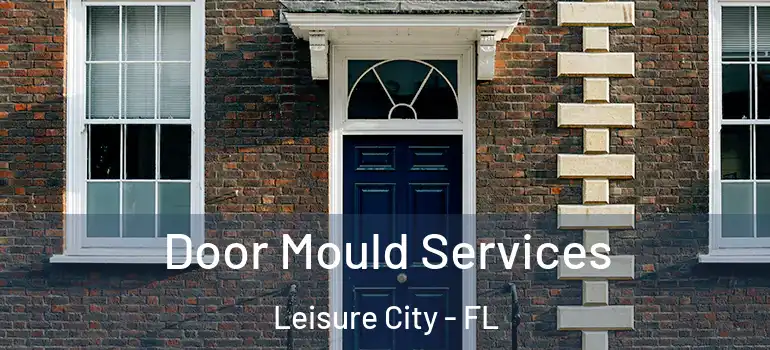  Door Mould Services Leisure City - FL