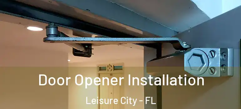  Door Opener Installation Leisure City - FL