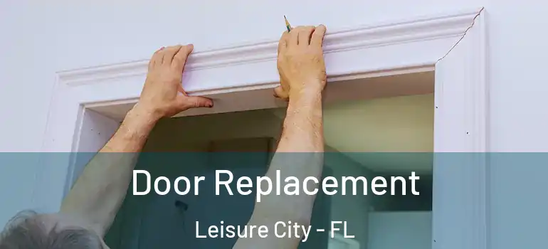  Door Replacement Leisure City - FL