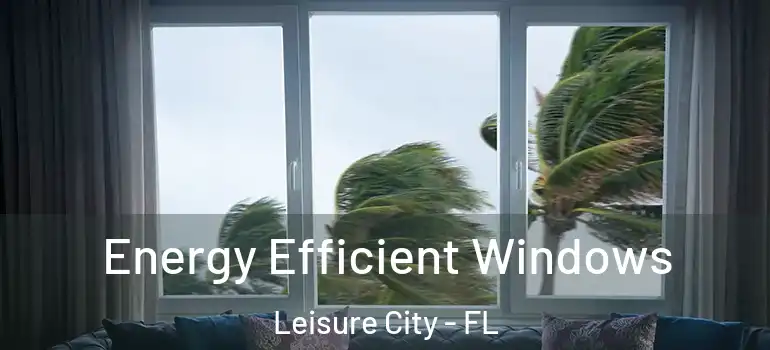  Energy Efficient Windows Leisure City - FL