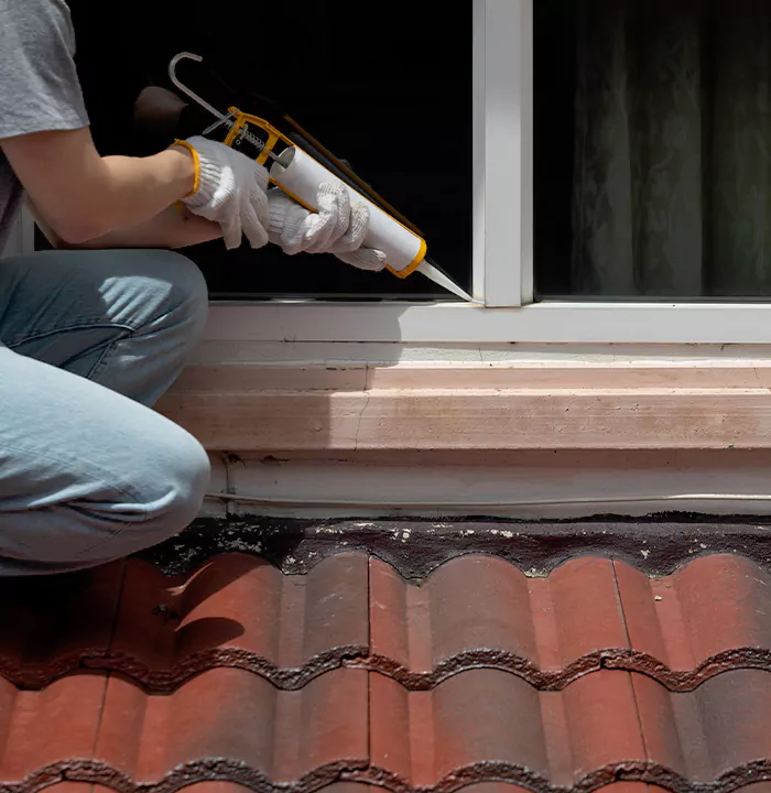 Roof Window Services in Leisure City, Florida