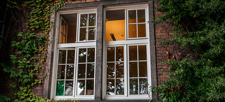 Energy Efficient Wood Windows in Leisure City, FL