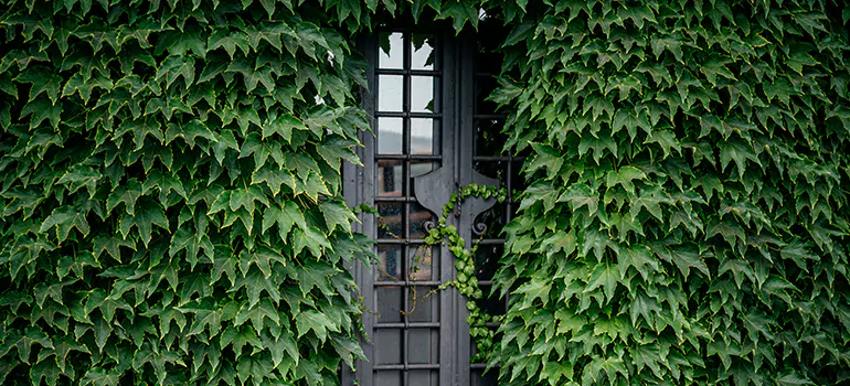 Garden Gate Repair in Leisure City, FL