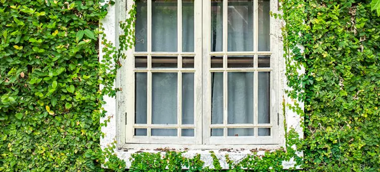 Garden Window Repair Near Me in Leisure City, FL
