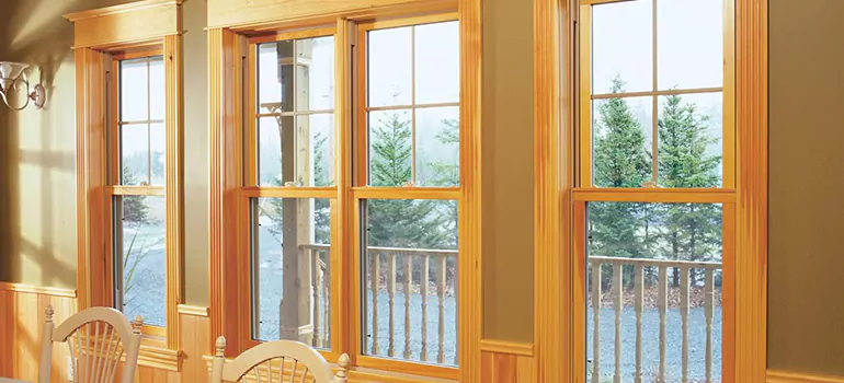 Government Incentives For Replacement Windows in Leisure City, FL