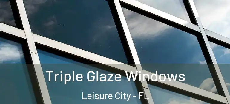  Triple Glaze Windows Leisure City - FL