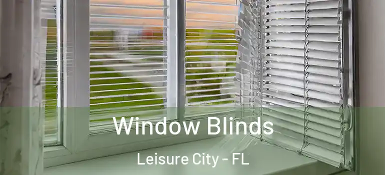  Window Blinds Leisure City - FL