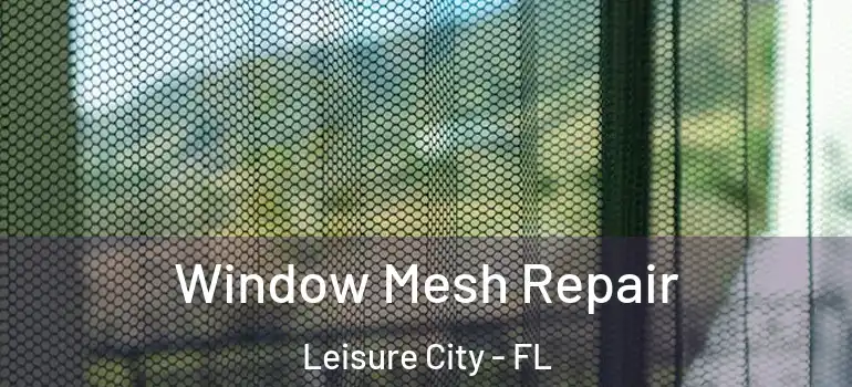  Window Mesh Repair Leisure City - FL