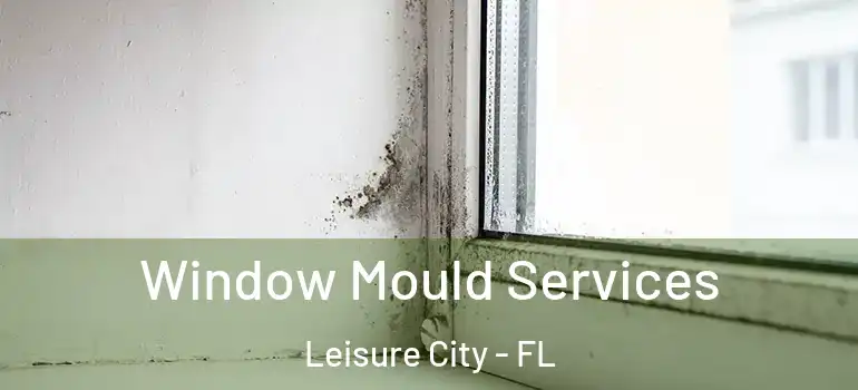 Window Mould Services Leisure City - FL
