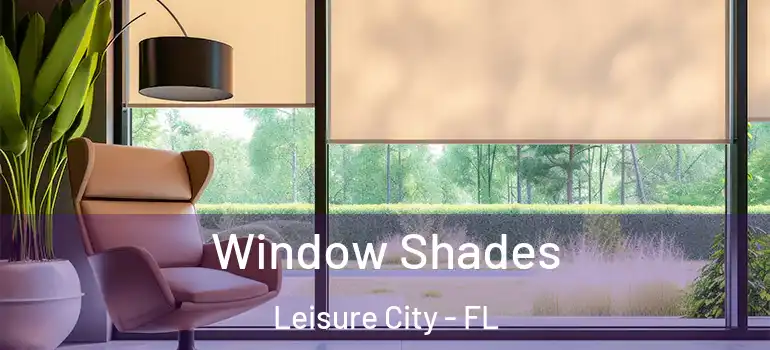  Window Shades Leisure City - FL